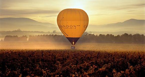 Picture of Hot Air Balloon Flight - Yarra Valley, Child (1 Hour)