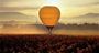 Picture of Hot Air Balloon Flight - Yarra Valley, Child (1 Hour)