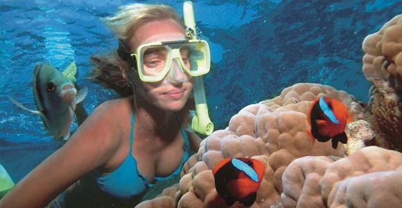 Picture of Great Barrier Reef Day Tour with 3 Attractions (Adult) – Cairns