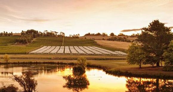 Picture of Introduction to Fly Fishing - Josef Chromy Wines