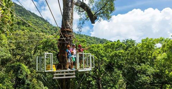 Picture of Jungle Surfing Canopy Tours Cairns