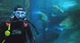 Picture of Shark Dive Xtreme SEA LIFE Sanctuary (Certified Divers)