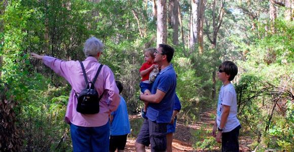 Picture of Beach & Forest Eco Adventure Family Pack - WA