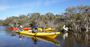 Picture of Canning Regional Park Kayak adventure (Adult)