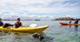 Picture of Seal & Penguin Islands Sea Kayak Day Tour (Adult)