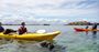 Picture of Seal and Penguin Islands Sea Kayak Day Tour (Child under 16)