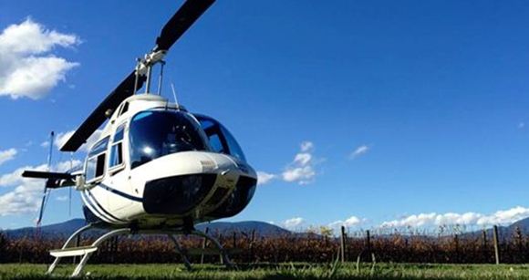 Picture of Yarra Valley Wine Tours