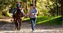 Picture of Guided Horse Riding Adventure -  Glenworth Valley