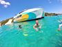 Picture of Dolphin and Tangalooma Wrecks Cruise - Adult