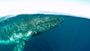 Picture of Whale Watching Cruise - Gold Coast (Adult)
