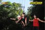 Picture of Family Giant Jungle Swing Cairns