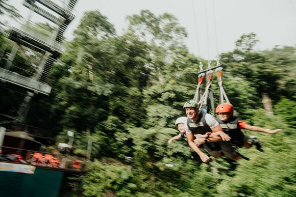 Picture of Family Giant Jungle Swing Cairns