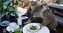 Picture of Breakfast with the Koala's (Adult) - Sydney