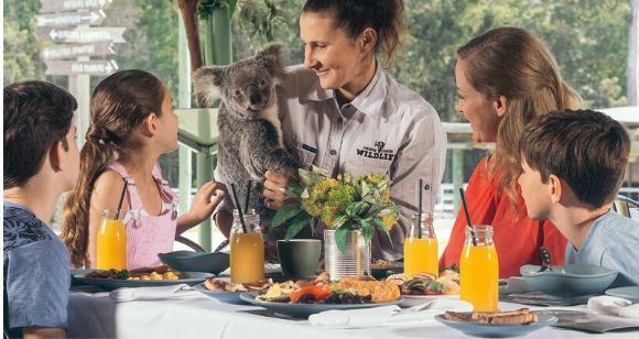 Picture of Breakfast with the Koala's (Child) - Sydney